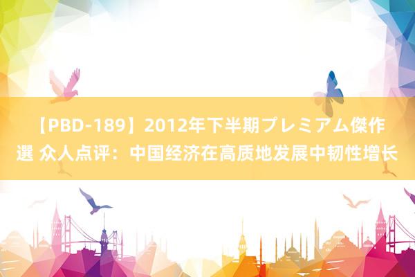   【PBD-189】2012年下半期プレミアム傑作選 众人点评：中国经济在高质地发展中韧性增长