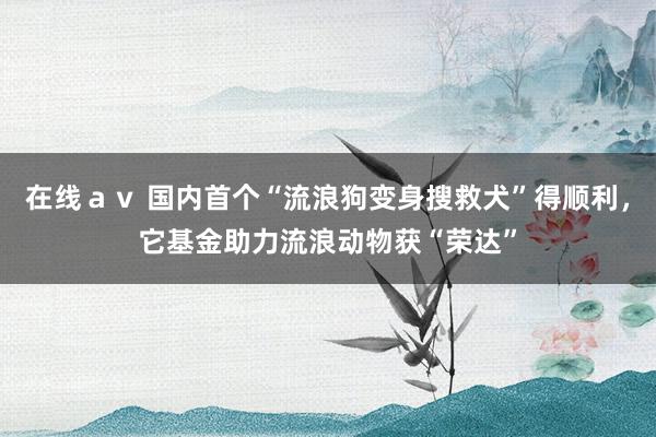   在线ａｖ 国内首个“流浪狗变身搜救犬”得顺利，它基金助力流浪动物获“荣达”