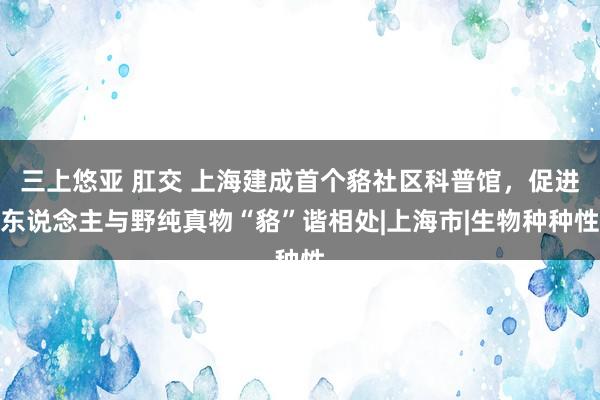   三上悠亚 肛交 上海建成首个貉社区科普馆，促进东说念主与野纯真物“貉”谐相处|上海市|生物种种性